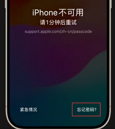 铁山苹果手机密码维修分享iPhone忘记了刚设置的密码 