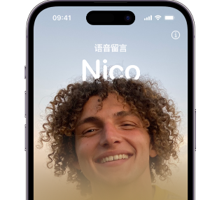 铁山苹果15服务站分享iPhone15实时语音留言开启方法 